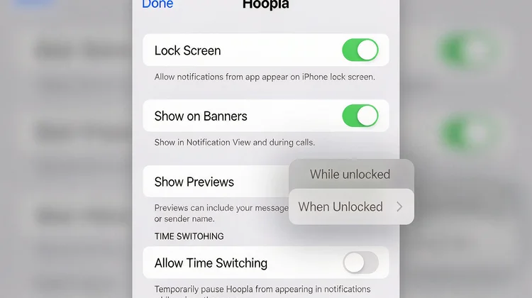App 通知选项 - 苹果派