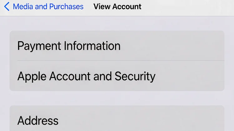 iPhone 设置媒体与购买项目查看账户 - 苹果派