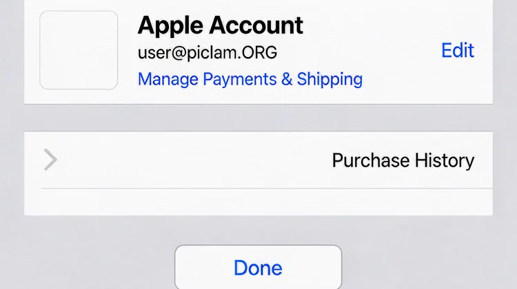 海外Apple ID 购买记录列表 苹果派